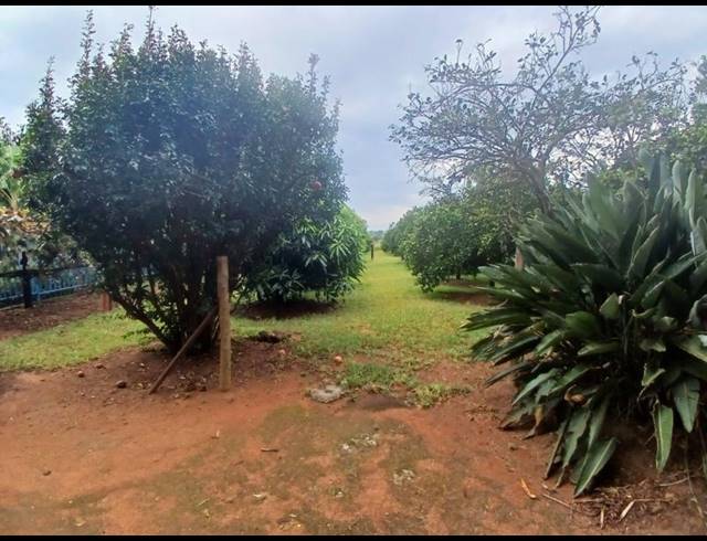 FARM FOR SALE IN VASFONTEIN